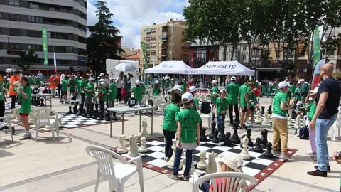 Ajedrez Zamora_20
