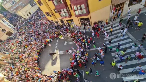 Balador, el torito del alba de la fiesta del Toro enmaromado 2023. Fotografía: Interbenavente.es