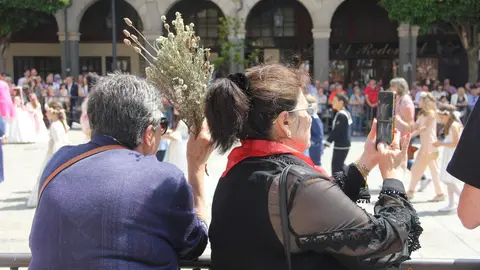 Procesión Corpus Christi Zamora 2023_59