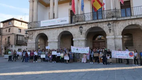 Protesta  Fridays for Future Toro