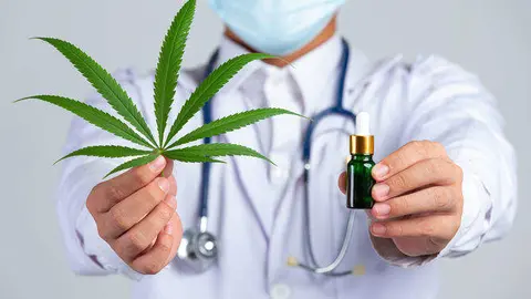 cannabis medicinal