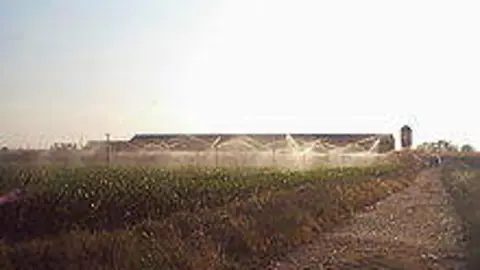 campos morales del vino