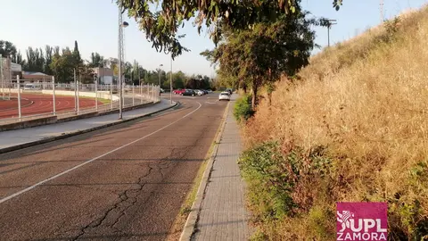 Upl maleza ciudad deportiva