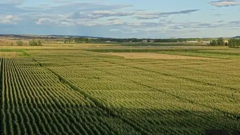 Concentración parcelaria