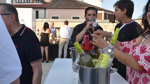 vinos denominación de origen_16