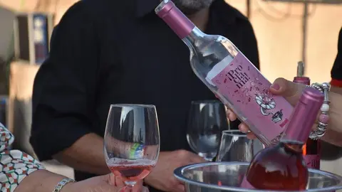 vinos denominación de origen_18