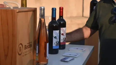 vinos denominación de origen_19
