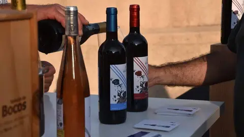 vinos denominación de origen_20