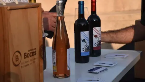 vinos denominación de origen_21
