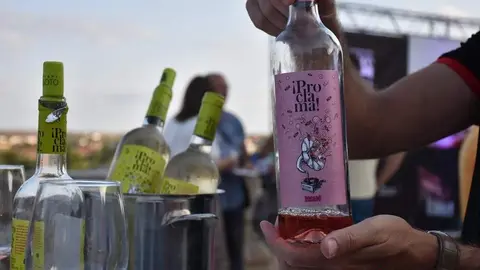 vinos denominación de origen_30