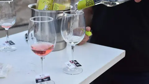 vinos denominación de origen_33