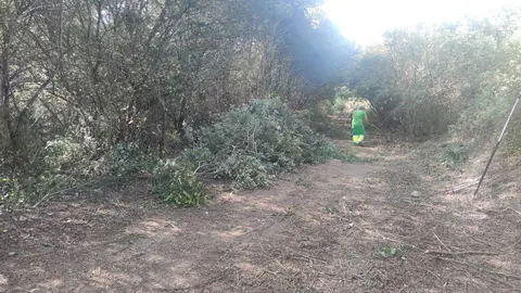 Operario en Palazuelo vía Comarca de Aliste