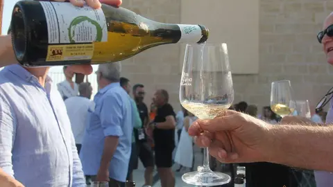 Presentación Ruta del Vino mirador Ramos Carrión_14