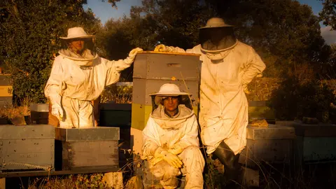 Las Obreras de Aliste CB-Artesanos de la Miel