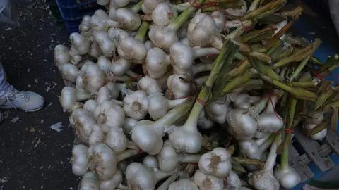 Feria del Ajo 2023_3