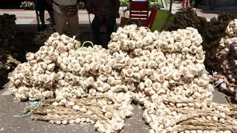 Feria del Ajo 2023_10