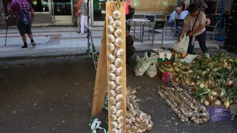 Feria del Ajo 2023_14