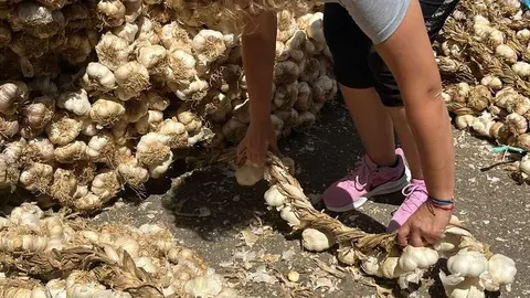 Feria del Ajo 2023_8