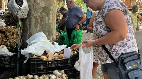 Feria del Ajo 2023_11