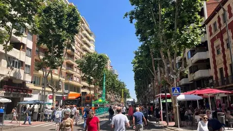Ajos_12