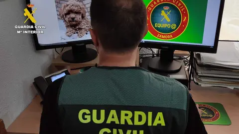 Guardia Civil investigación fraude. Fotografía: GC