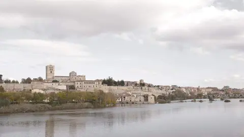 visita guiada Zamora