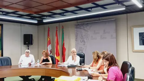 Comisión M.A y Urbanismo julio (1)