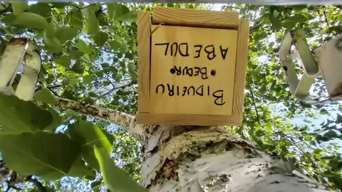 Mural y actividad biodiversidad sanabria