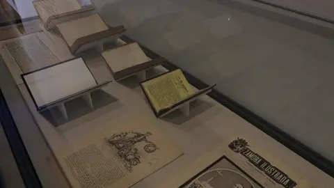 Muestra museo de zamora_5