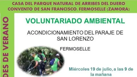 Cartel jornada de voluntariado ambiental
