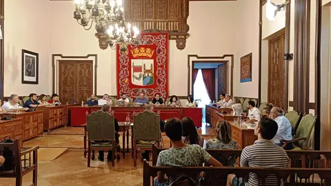 Pleno extraordinario Ayto Zamora