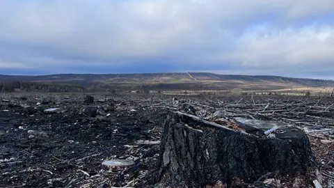 Imagen de la Sierra de la Culebra calcinada por los incendios. Imagen: Coordinadora Rural de Zamora
