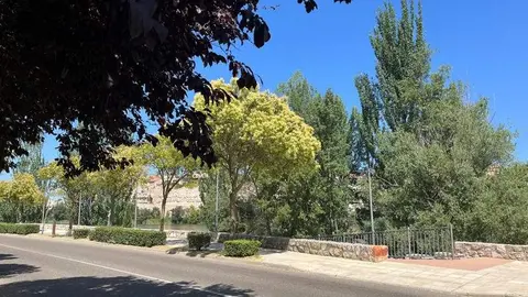 Cielo despejado en Zamora