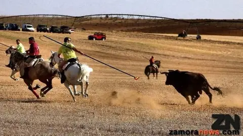Encierro campero. Imagen de archivo