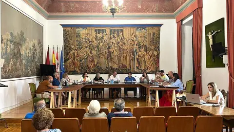Pleno Ayuntamiento de Toro
