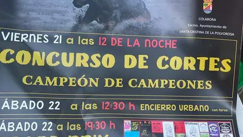 Santa Cristina, concurso de cortes