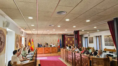 pleno Ayto Benavente. Imagen Interbenavente