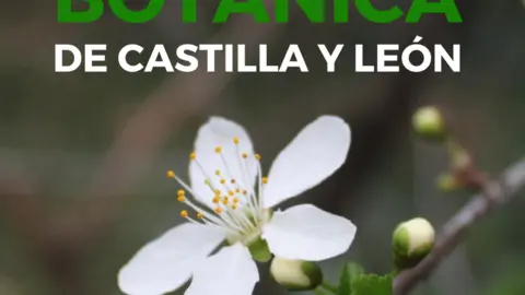 CARTEL CONCURSO FOTOGRAFÍA