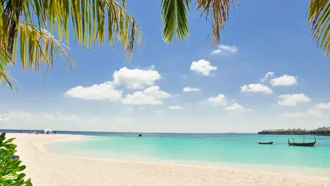 ofertas de verano barceló