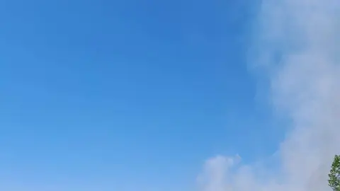 Incendio Pumarejo de Tera. imagen de archivo