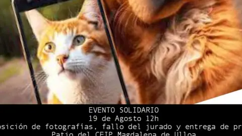 IV Concurso Fotográfico por el Día Internacional del Animal sin Hogar