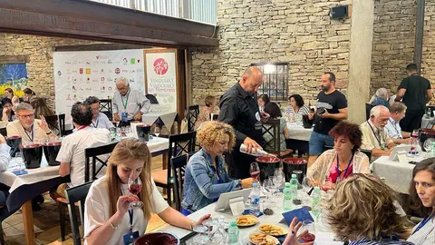 Catadores de la XIX edición de Premios VinDuero-VinDouro