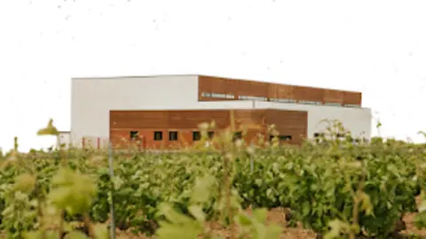 Bodegas Hijos de Marcos Gómez