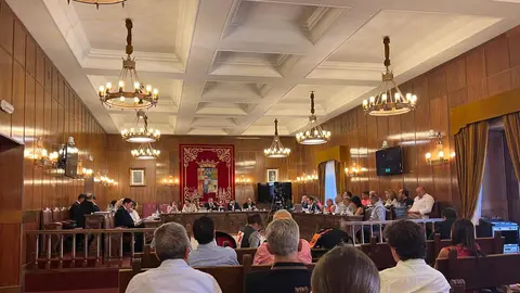 Pleno Diputación