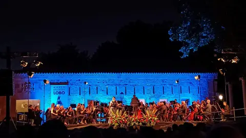 Little Opera Zamora