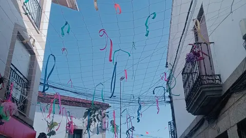 Decoración en la calle Teniente Chamorro de Bermillo destrozada Fotografía: CEDIDA