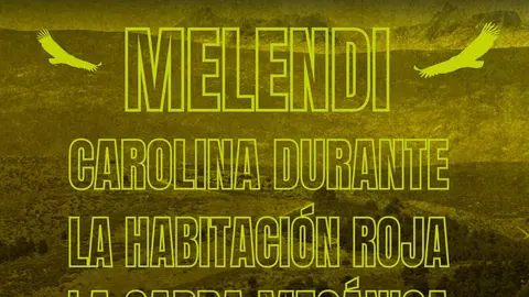 cartel de músicos en la Naturaleza