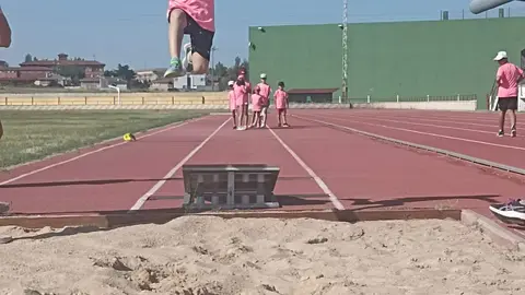 vino toro, campus de verano