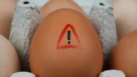 Salmonelosis. Fotografía de archivo