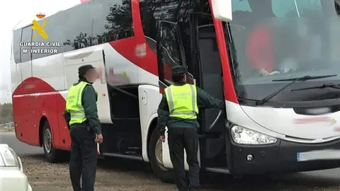 Operación contra el tráfico de drogas en Pereruela. Fotografía: Guardia Civil